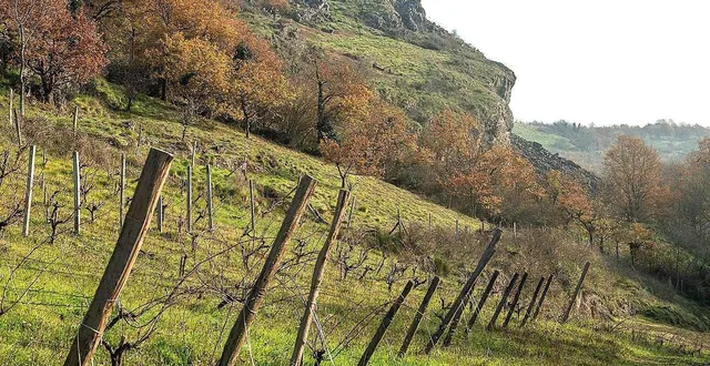 photo  les coteaux du pont-barré, une réserve naturelle régionale qui surplombe le layon, sont le sujet d’un documentaire à voir à chemillé, lundi 16 mars 2026.  &copy;  jean-paul gislard 