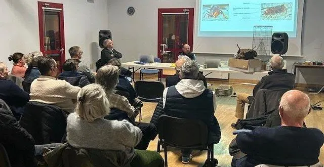 photo  une réunion publique sur les frelons asiatiques était organisée lundi 2 mars.  &copy;  michel briffault 