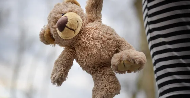 photo  un enfant a perdu son doudou dans la rue, à toulon, mardi 10 mars 2026, et ses parents se démènent pour le retrouver. photo d’illustration.  &copy;  rudy and peter skitterians / pixabay 