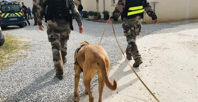 photo  les nombreuses investigations réalisées dans les deux enquêtes n’ont pour le moment pas permis de retrouver les deux disparus.  &copy;  co  - jordan guerin-morin 
