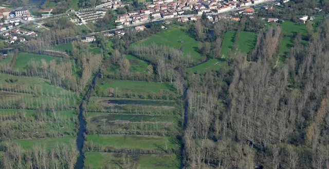 photo  le conseil d’état estime que l’arrêté était « contraire au principe de non-régression en matière de protection de l’environnement, institué par la loi en 2016 ».  &copy;  co - marie delage 