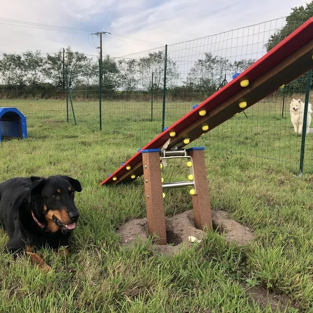photo un parcours d’agilité sera proposé dans le cadre d’un challenge, avec des lots à gagner, au niveau du manège habituellement réservé aux chevaux du lycée.  ©  ouest-france