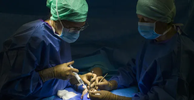 photo  au bloc opératoire, le docteur caroline delaroche prend en charge une femme mordue à la main. l’intervention consistera à inciser le doigt blessé et à nettoyer l’intérieur.  &copy;  le maine libre denis lambert 