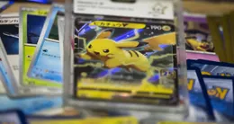 Info insolite  un musée de chicago (états-unis) voit les tickets de sa prochaine exposition s’arracher avant même l’ouverture de celle-ci. elle croisera l’univers des dinosaures et des fossiles à celui des pokémon. 