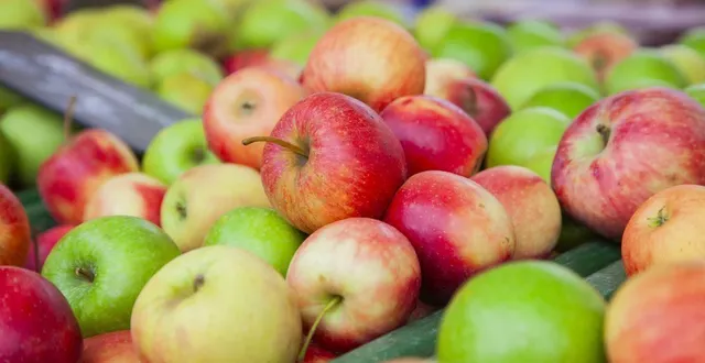 photo  innatis veut se séparer de son pôle dédié à la production de pommes, dans le val-de-loire.  &copy;  hans lucas via afp 