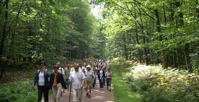 photo  randonnée en forêt.  &copy;  archives le maine libre 