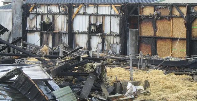 photo  450 chevreaux ont péri dans l’incendie d’une exploitation agricole de segré-en-anjou-bleu dans la nuit de vendredi 13 à samedi 14 mars 2026  &copy;  photo co 