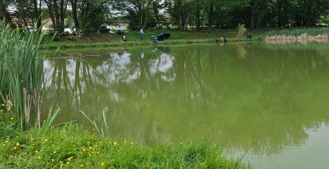 photo  l’ouverture de l’étang à la pêche est programmée le week-end des 28 et 29 mars.  &copy;  le maine libre 