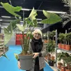 photo mandy pecheur, vendeuse de plantes passion, au salon de la maison du mans, présente une alocasia, une plante verte très à la mode.