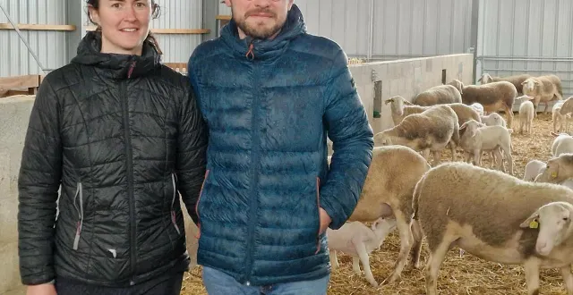 photo  élise brilloux et thomas couturas, créateurs des fromages du roc à saint-christophe-sur-roc, au milieu de leurs brebis.  &copy;  co. 