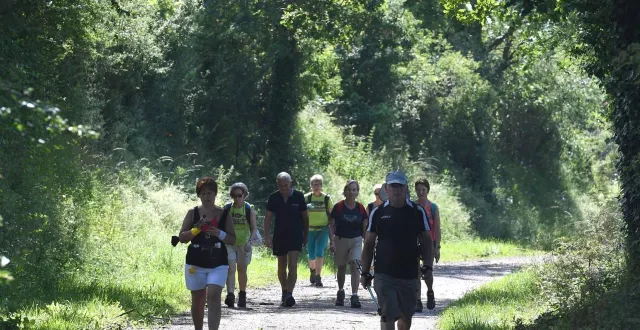 photo  la 17e translayon se tiendra du 12 au 14 juin dans les vignobles du layon et de l’aubance.  &copy;  archives co - laurent combet 