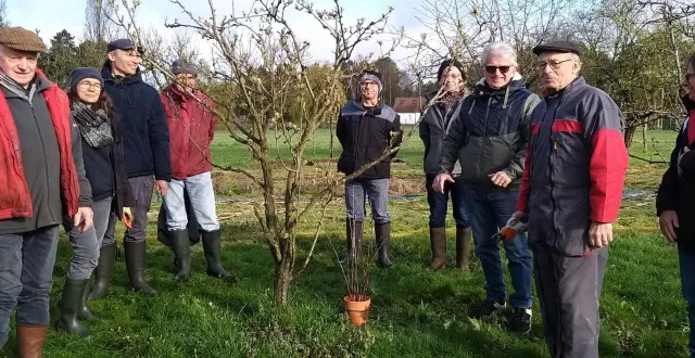 photo  une initiation à la taille et à la greffe des arbres fruitiers a réuni une dizaine de participants, samedi.  &copy;  ouest-france 