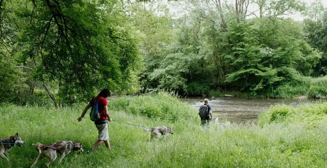 photo  la cani-randonnée est une activité ludique et naturelle, accessible dès l’âge de 6 ans.?  &copy;  marie-anaïs thierry - normandie tourisme 