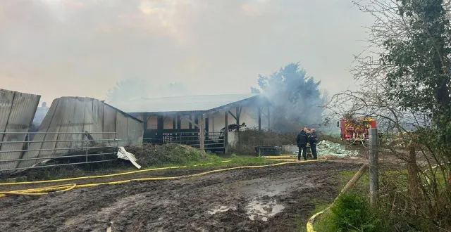 photo  des pompiers ont été mobilisés dans une exploitation agricole, à campbon.  &copy;  ouest-france/youen tanguy 