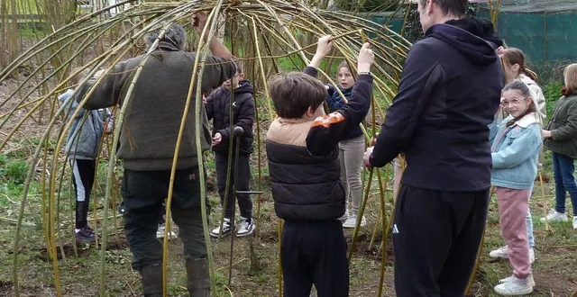 photo  les élèves de cm1 et cm2 ont découvert, avec franck viel, l’art du plessage en construisant une cabane à l’espace des deux-chênes.  &copy;  le maine libre 