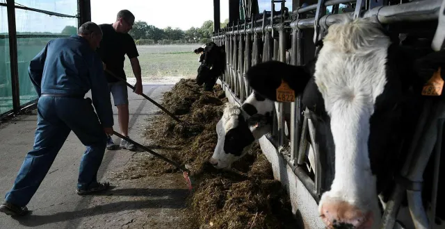 photo  malgré les nombreux aléas du monde agricole, les jeunes restent attirés par ce métier passion.  &copy;  archives co - laurent combet 