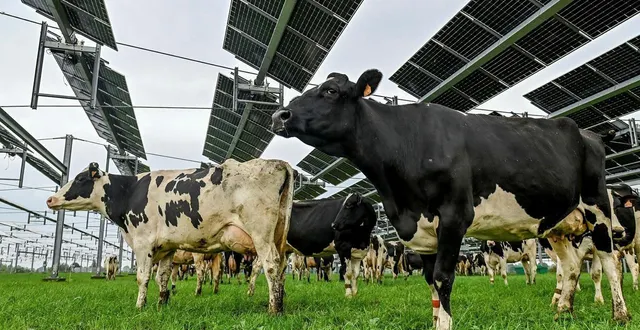photo  l’ombrière agrivoltaïque de souleuvre-en-bocage (calvados).  &copy;  archives mathis harpham / ouest-france 