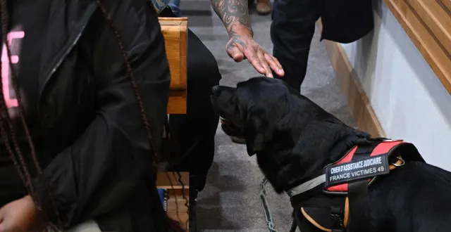 photo  ce mercredi 18 mars 2026, les familles ont témoigné, avec le soutien du chien d’assistance aux victimes de l’association france victimes 49.  &copy;  jérôme fouquet/ouest-france 