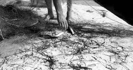 actu cin&eacute;ma  isulas de s’isula est un film documentaire qui « écoute et récolte les récits de pêcheurs de sardaigne » 