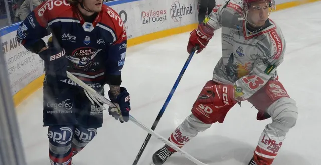 photo  orrin centazzo (à gauche), l’une des valeurs sûres des ducs d’angers. ?  &copy;  co - jérôme hurstel 