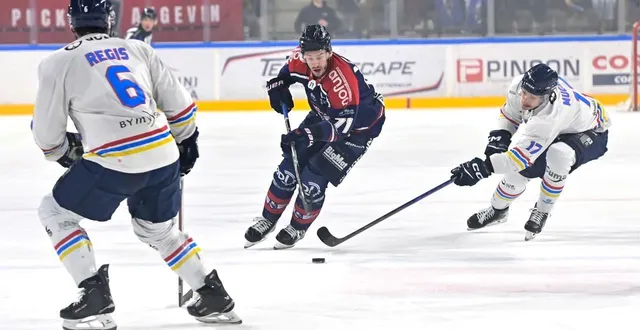 photo  philippe halley et les ducs d’angers devront en passer par un match 5, samedi, contre nice.  &copy;  sebastien aubinaud 