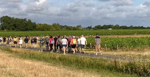 photo  l’école saint-germain organise sa randonnée pédestre champêtre.  &copy;  co 
