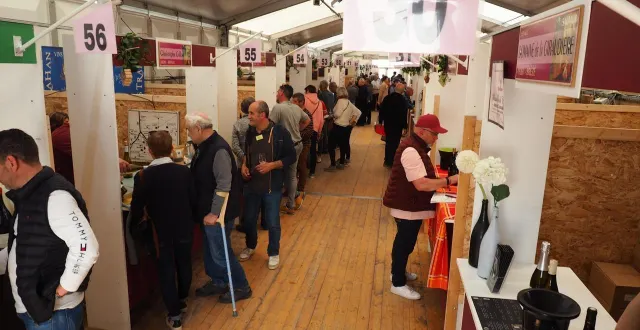 photo  plus de 5 000 visiteurs étaient présents en 2025 pour la 76e édition du salon des vins de thouars.  &copy;  archives co -  antoine richard 