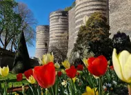 photo  les fossés du château d’angers seront exceptionnellement ouverts au public. 