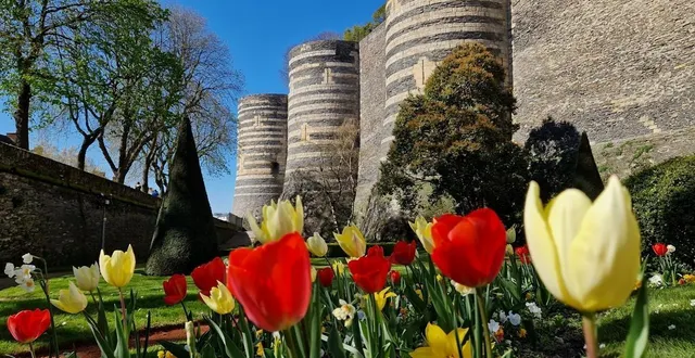 photo  les fossés du château d’angers seront exceptionnellement ouverts au public.  &copy;  emma fonteneau 