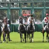 photo  99 partants seront au départ des huit courses de galop du jour. 