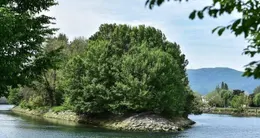 Info insolite cette langue de terre boisée d’une superficie de 3 000 m2, interdite au public, a vu passer des personnalités comme françois ier, louis xiv et napoléon iii au fil des siècles…