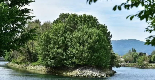photo  cette langue de terre boisée d’une superficie de 3 000 m2, interdite au public, a vu passer des personnalités comme françois ier, louis xiv et napoléon iii au fil des siècles…  &copy;  photo : gautier demouveaux 