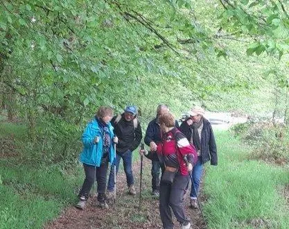 photo  comme chaque année, la forêt de monnaie à jumelles (photo) attend les visiteurs sur ses sentiers.  &copy;  co 