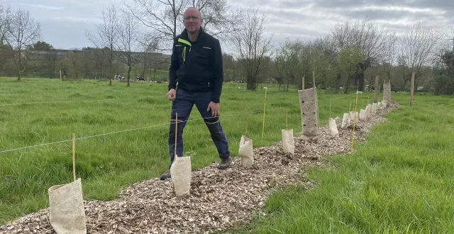 photo  progressivement, olivier grimault redonne à son exploitation un caractère bocager, à la pommeraye. rencontré le 17 mars 2026, il en vante les atouts.  &copy;  ouest-france 