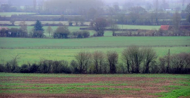 photo  le parc normandie-maine mène une campagne de plantations de haies afin de stabiliser le bocage qui a diminué depuis 1945.  &copy;  archives le maine libre – hervé petitbon 