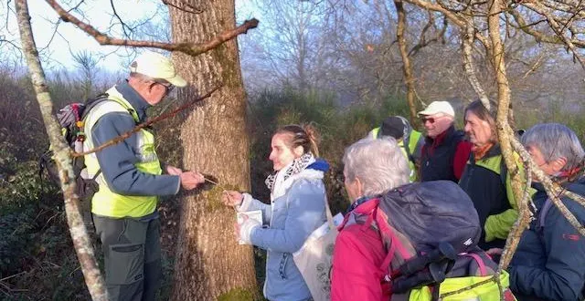 photo  le groupe de randonneurs était très attentionné aux explications de manon provost, correspondante du cpie (centres permanents d’initiatives pour l’environnement) de la flèche (au milieu sur la photo).  &copy;  le maine libre 