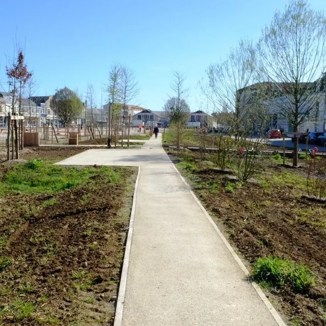 photo des sentiers de marche sont apparus. à l’avenir, les passants seront entourés de végétations et d’arbres imposants.  ©  co antoine richard