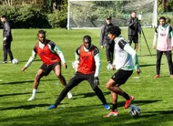 photo  les canaris avaient une séance ce vendredi matin. 