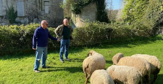 photo  jean-louis cordeau et daniel fonteneau, ne peuvent que constater l’absence de cinq agneaux.  &copy;  co 