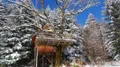 photo  près de gérardmer, le domaine des nids des vosges propose des séjours dans des cabanes construites dans les arbres et dotées de spas. 