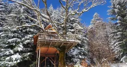Info insolite  près de gérardmer, le domaine des nids des vosges propose des séjours dans des cabanes construites dans les arbres et dotées de spas. 