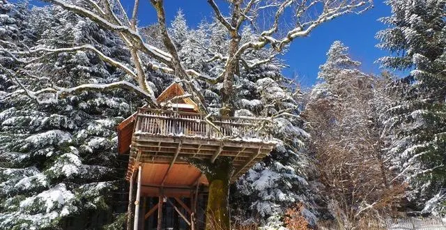 photo  près de gérardmer, le domaine des nids des vosges propose des séjours dans des cabanes construites dans les arbres et dotées de spas.  &copy;  nids des vosges 