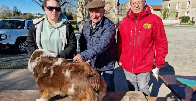 photo  rené favre, juge international (au centre), procède à l’examen d’ares, un joli berger australien, sous l’œil attentif de sa propriétaire mme thomas et d’alain brosseau.  &copy;  co 