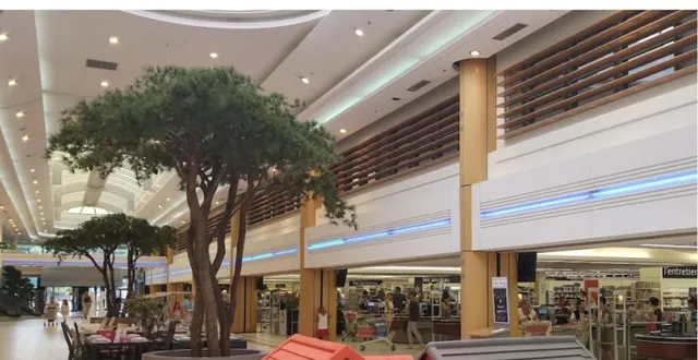 photo  le salon se tiendra dans la galerie marchande de l’hyper u, centre commercial rive sud, et sera accessible gratuitement.  &copy;  co 