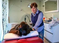 photo  infirmière salariée de l’association nationale asalée depuis dix ans, elle exerce au sein du cabinet médical desaix au mans. 