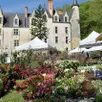 photo  la fête des plantes se déroulera samedi 18 et dimanche 19 avril 2026 dans le parc du château de courtanvaux 