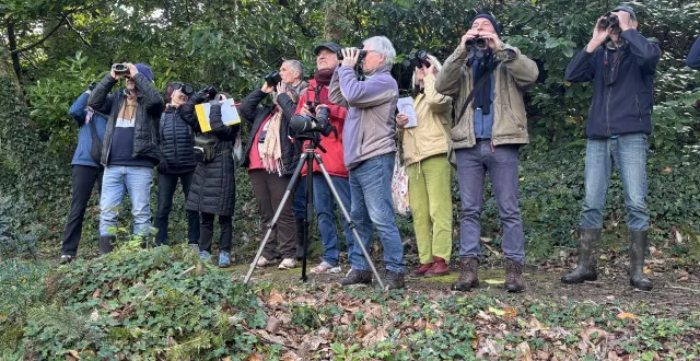 photo  un groupe d’une bonne dizaine d’amateurs de l’observation des oiseaux s’est donné rendez-vous, ce samedi 21 mars 2026, dans le parc du château de carneville (manche) labellisé refuge du gonm.  &copy;  ouest-france 
