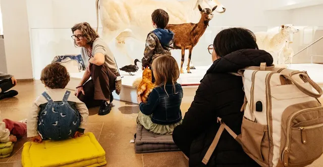photo  le musée jean-claude-boulard - carré plantagenêt, au mans, a proposé une visite, ouverte aux enfants de 18 mois à 3 ans.  &copy;  ouest-france 
