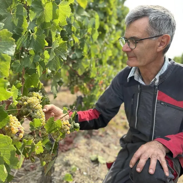 photo jean-marc trahan a obtenu de nombreuses médailles lors du concours 2026 du salon des vins de thouars.  ©  co archives fabien gouault