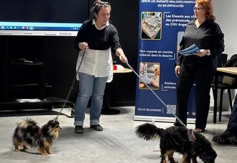 photo  jeudi 19 mars, les kiwanis d’angers ont organisé une soirée réunissant partenaires, associations et familles qu’ils ont contribué à aider.  &copy;  co 